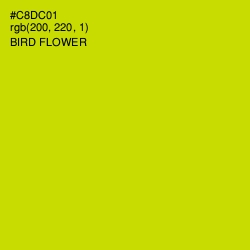 #C8DC01 - Bird Flower Color Image
